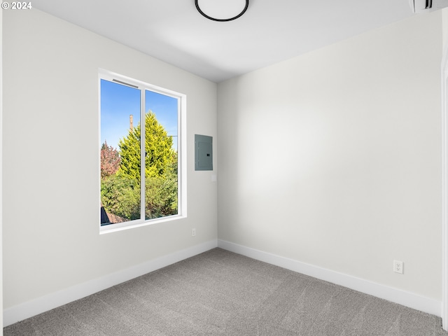 carpeted spare room with electric panel and plenty of natural light