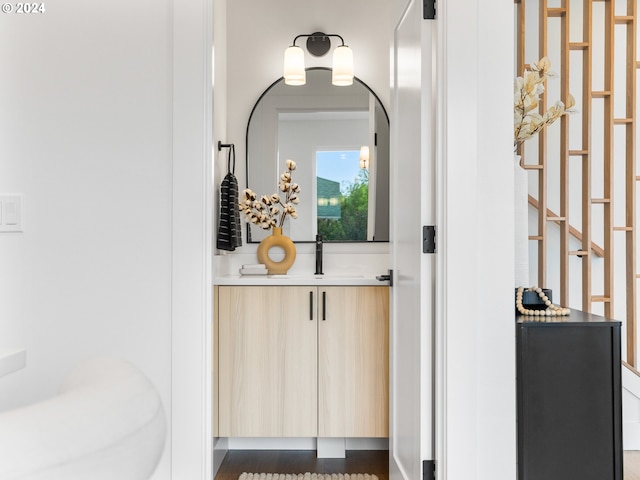 bathroom with hardwood / wood-style flooring and sink