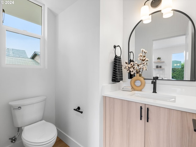 bathroom with toilet and vanity