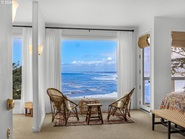 living area featuring a water view and light colored carpet