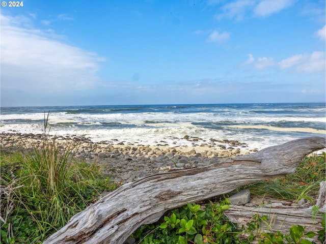 property view of water featuring a beach view