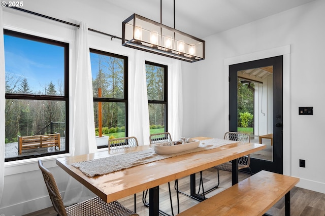 dining room featuring baseboards and wood finished floors