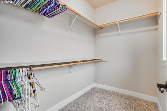 walk in closet featuring carpet flooring