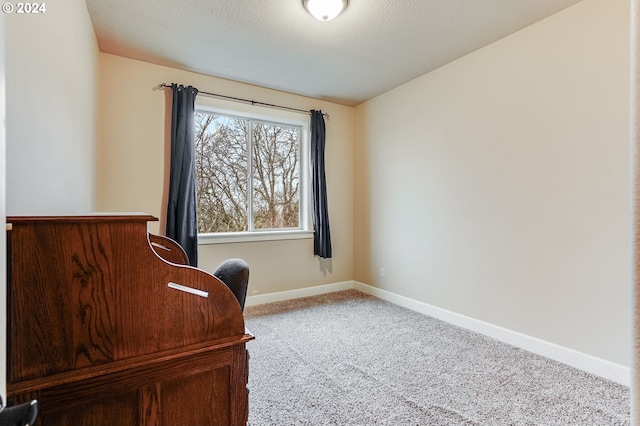 view of carpeted home office