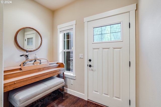 entryway featuring dark hardwood / wood-style flooring