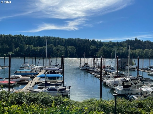 view of dock featuring a water view