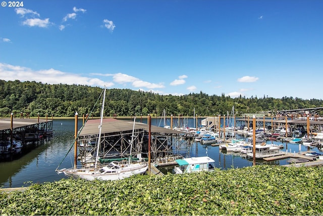 view of dock with a water view