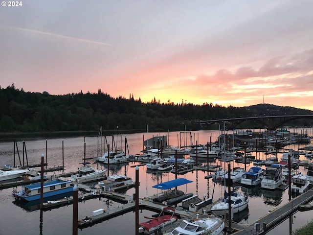 view of dock featuring a water view