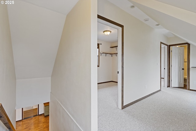 corridor with lofted ceiling and carpet floors