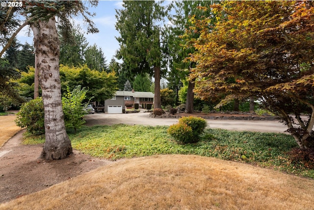 view of yard with a garage