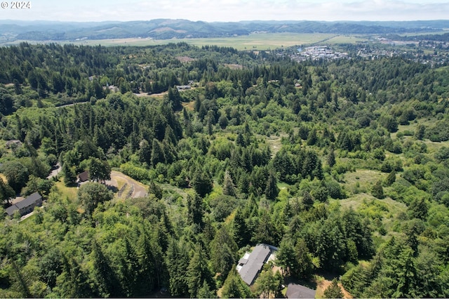 birds eye view of property featuring a mountain view