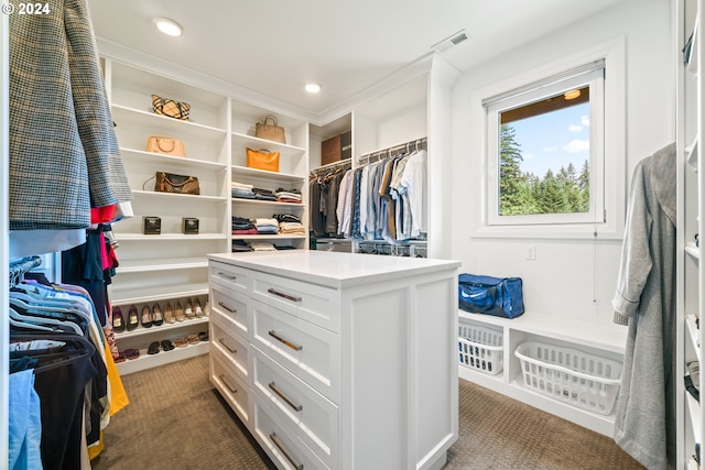 walk in closet with dark colored carpet