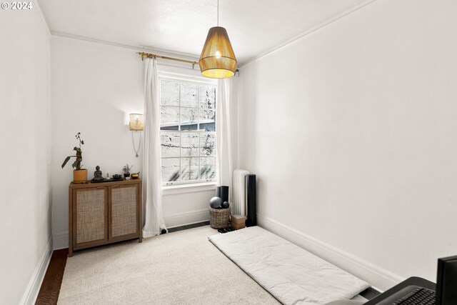 carpeted bedroom featuring ornamental molding