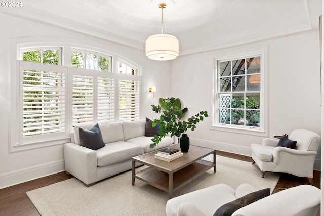 living room featuring ornamental molding, hardwood / wood-style flooring, and a healthy amount of sunlight