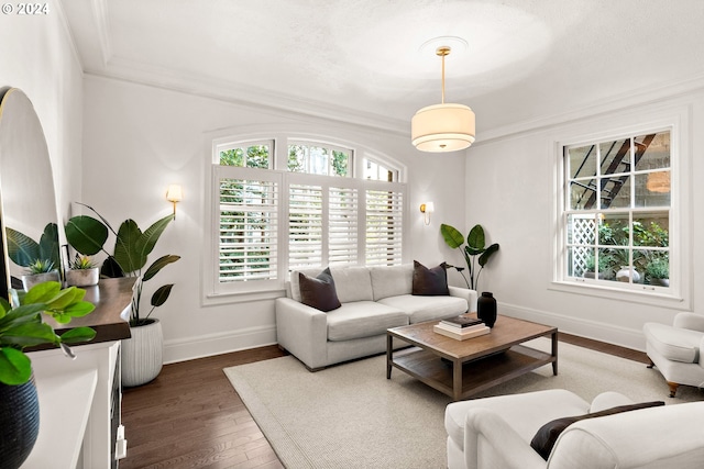 living room with dark hardwood / wood-style floors and ornamental molding