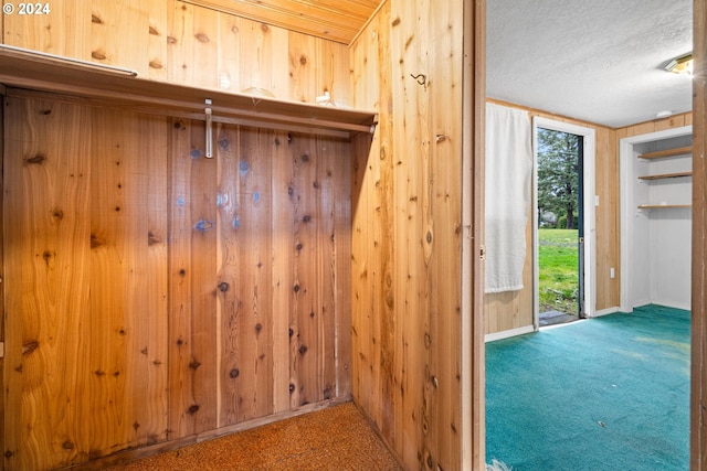 doorway to outside featuring wooden walls, carpet floors, and a textured ceiling