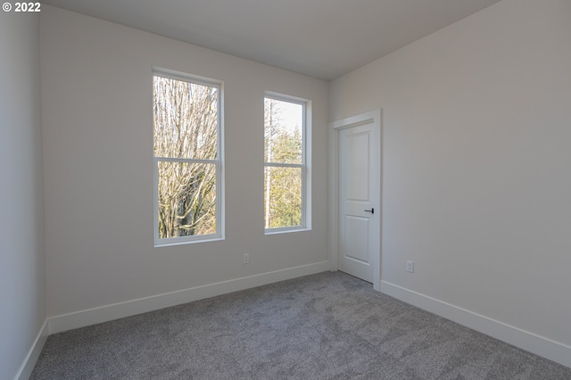 empty room featuring carpet