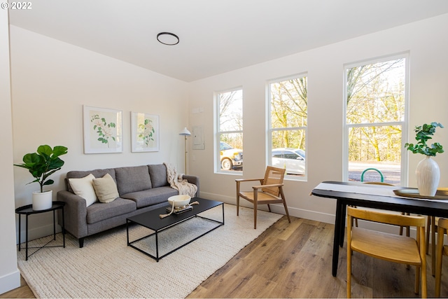 living room with light wood-type flooring