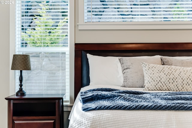 bedroom with multiple windows