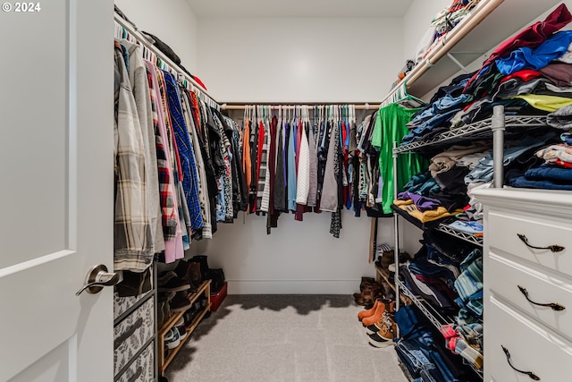 walk in closet with light colored carpet