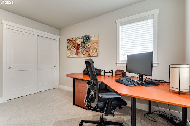 view of carpeted office space