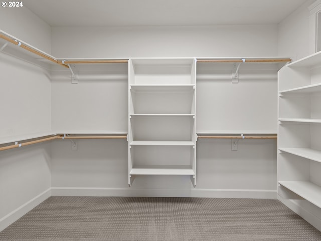 spacious closet with light carpet