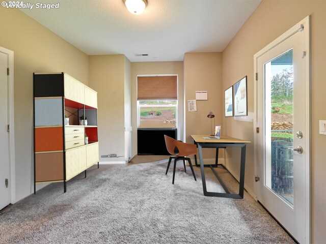 view of carpeted home office