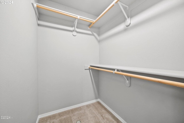 spacious closet with light colored carpet