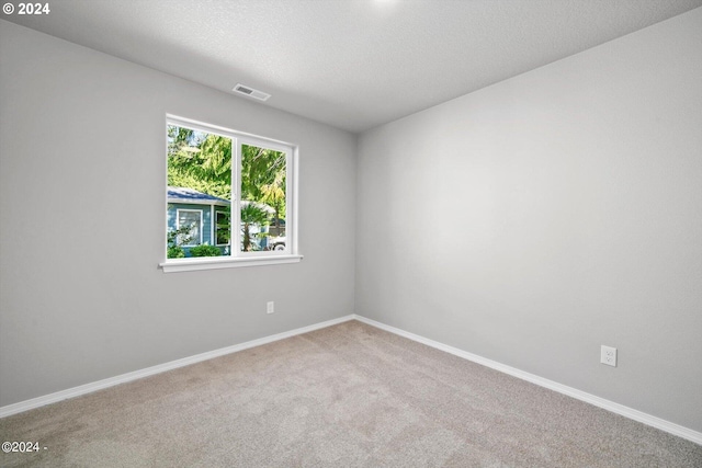 empty room with a wealth of natural light, carpet flooring, and a textured ceiling