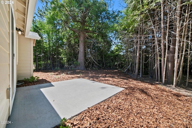 view of yard featuring a patio area