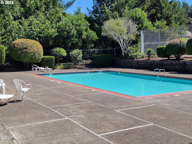 view of pool featuring a patio area