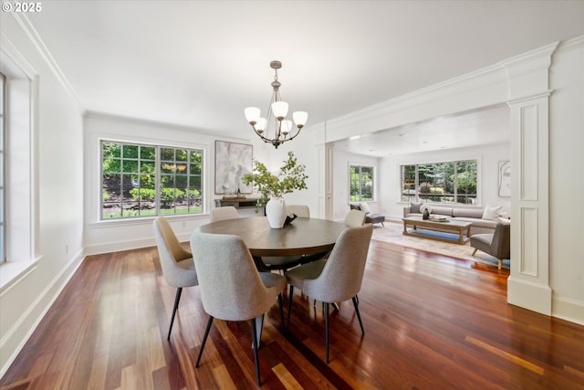 dining area with a wealth of natural light, ornamental molding, and dark wood-type flooring