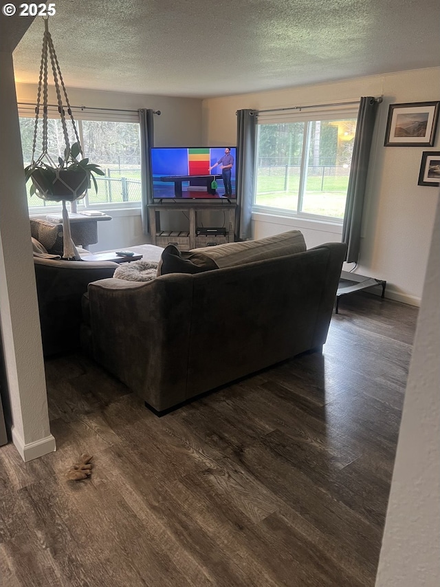 living room featuring dark hardwood / wood-style floors, a textured ceiling, and a wealth of natural light