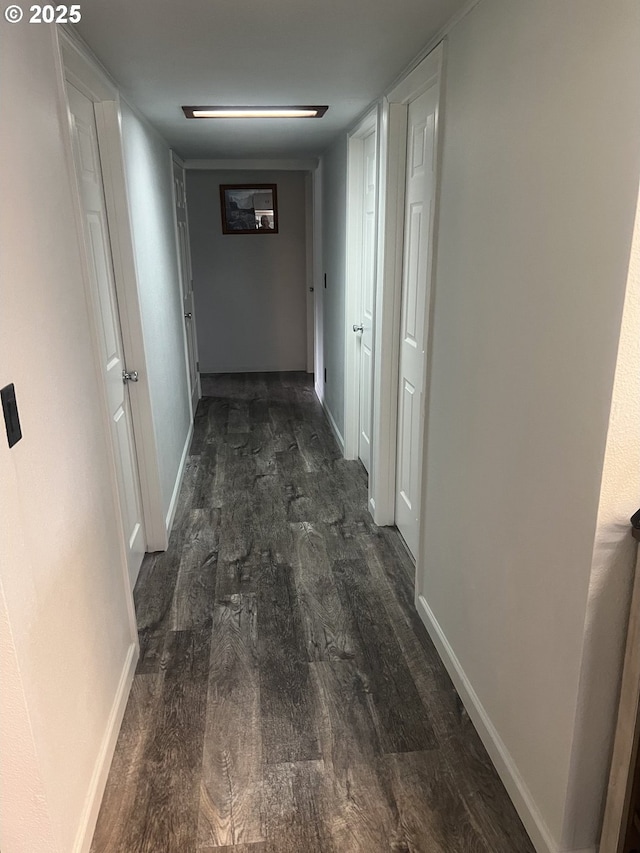 hallway featuring dark hardwood / wood-style floors