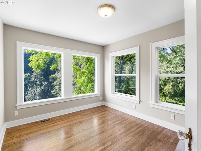 unfurnished room featuring a wealth of natural light and light hardwood / wood-style flooring