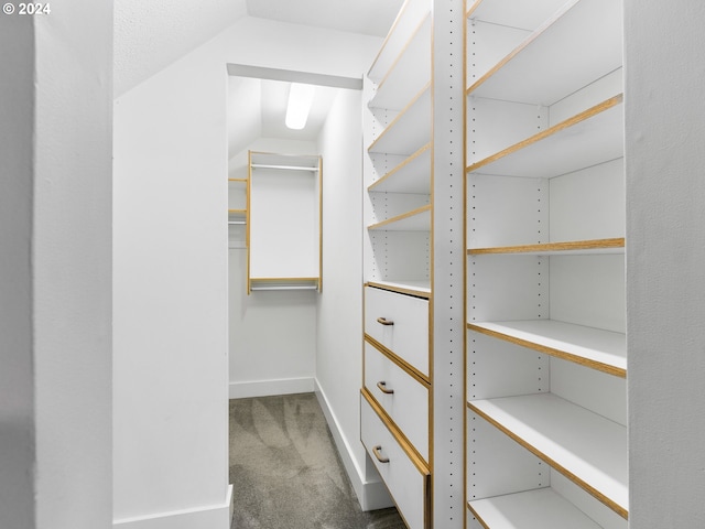 walk in closet with vaulted ceiling and carpet flooring