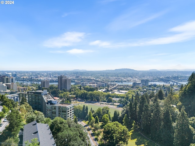 drone / aerial view with a mountain view