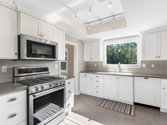 kitchen featuring white cabinets, appliances with stainless steel finishes, tasteful backsplash, sink, and a tray ceiling