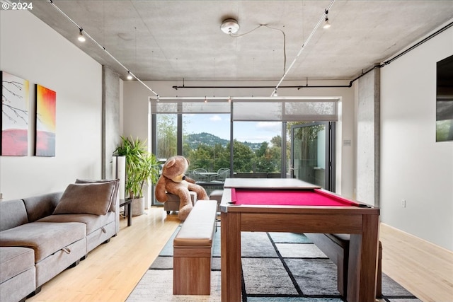 rec room with a mountain view, light hardwood / wood-style floors, and rail lighting