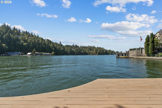view of dock with a water view and a view of trees