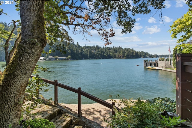 water view with a dock