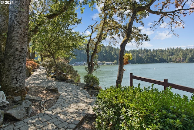 view of water feature featuring fence