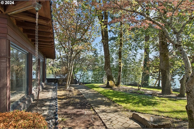 view of yard featuring a patio area