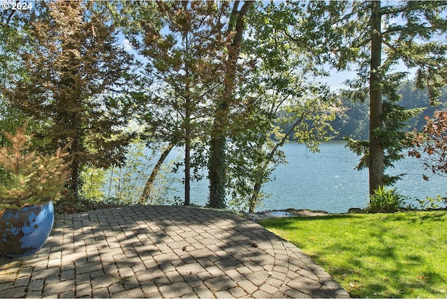 property view of water