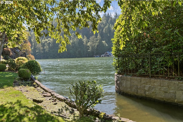 view of water feature