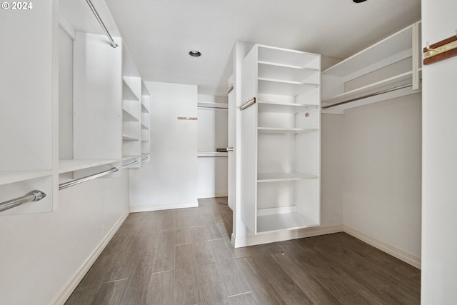 walk in closet featuring dark hardwood / wood-style flooring