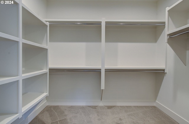 walk in closet with carpet floors