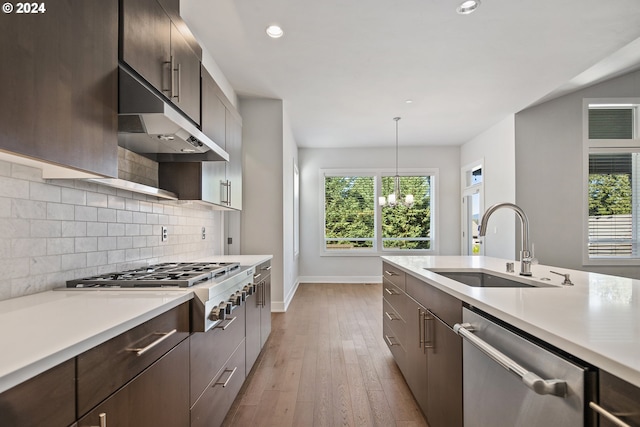 kitchen with pendant lighting, appliances with stainless steel finishes, light hardwood / wood-style floors, and a healthy amount of sunlight