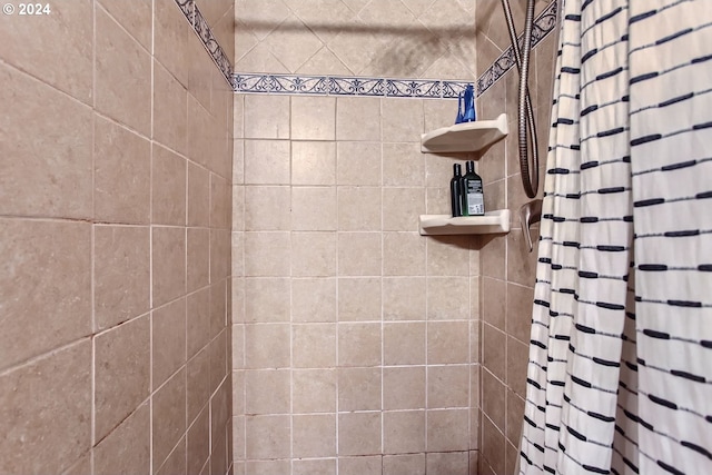 bathroom featuring a shower with shower curtain