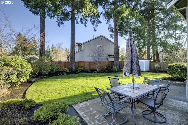 view of yard with a patio area and a storage shed